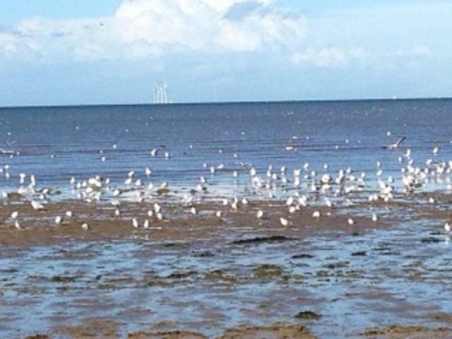 Seaways Cottage Hoylake Esterno foto